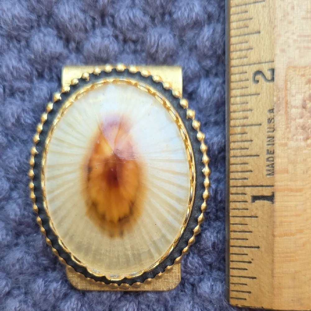 Vintage Limpet Shell Gold Tone and Cream Money Clip